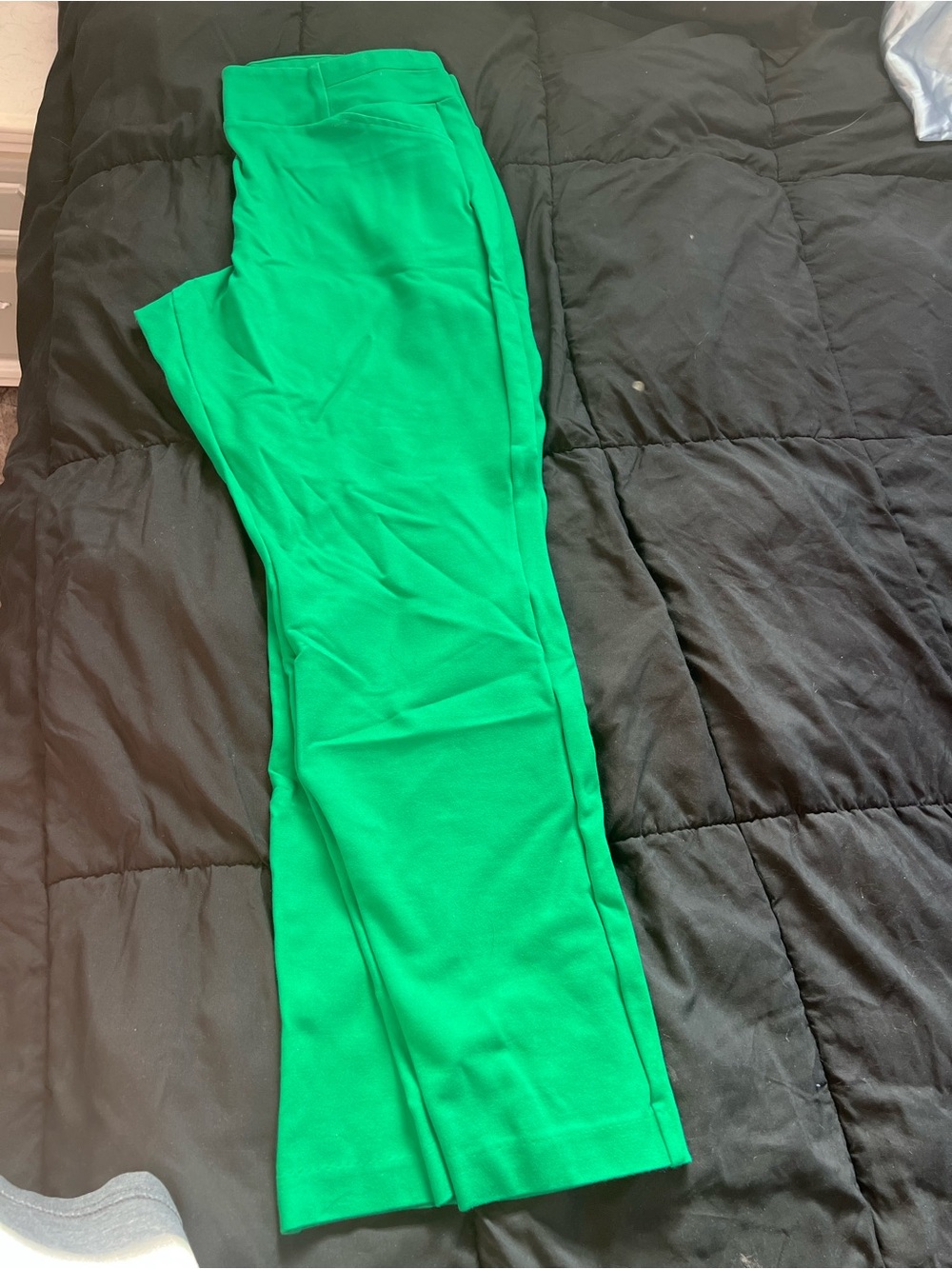New York & Co Green Dress Pants